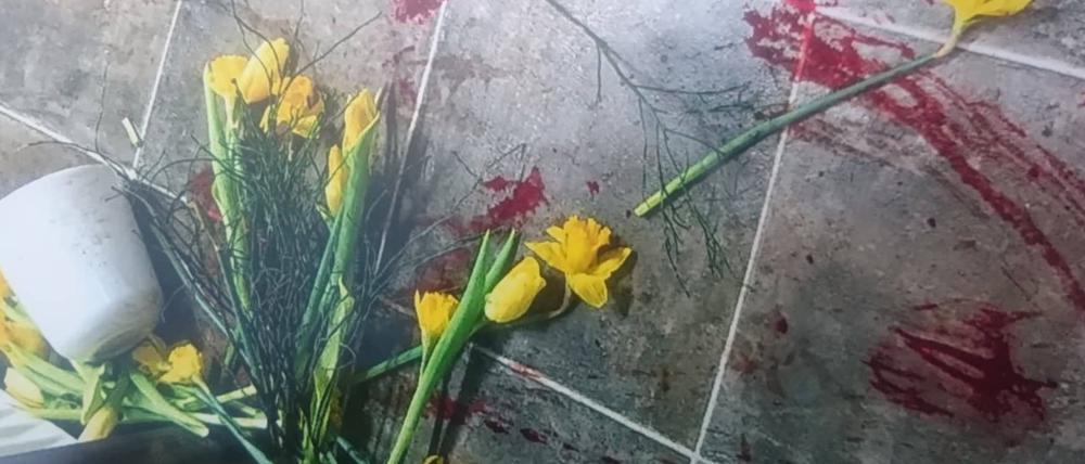Das Wildschwein hat nicht nur Blumen umgeworfen, sondern auch Möbel beschädigt.
