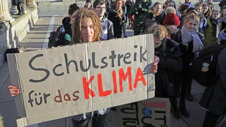 Etwa 300 Schüler demonstrierten im Januar auf dem Potsdamer Steubenplatz für den Schutz der Umwelt.