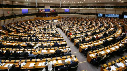 Am 26. Mai findet die Europawahl - in Brandenburg zeitgleich mit der Kommunalwahl - statt. 