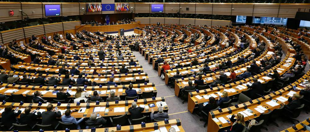 Am 26. Mai findet die Europawahl - in Brandenburg zeitgleich mit der Kommunalwahl - statt. 