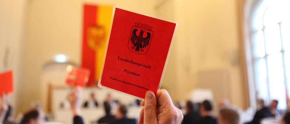 Das Potsdamer Stadtparlament wird wohl noch bunter als bisher schon. 