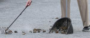 Durch den herüberziehenden Geruch des Pferdedungs habe er etliche Kunden verloren, sagt Mike Fischer-Wittig.