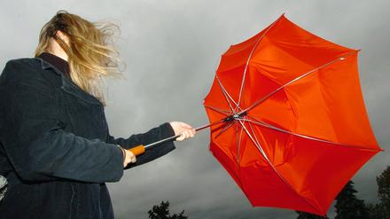 Der Deutsche Wetterdienst warnt vor Wind- und Sturmböen am Montag in Potsdam.