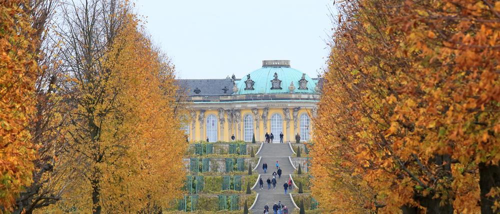 Der Park Sanssouci in Potsdam schneidet bei Google-Nutzern sehr gut ab.