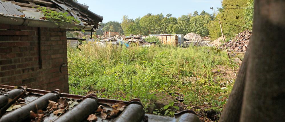 Das ehemalige Fath-Gelände in Kleinmachnow, auf dem sich einst ein Fahrzeugreparaturbetrieb befand, soll entwickelt werden. 