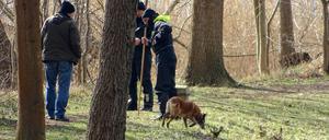 Polizeibeamte mit einem Spürhund suchen am Ufer des Storkower Kanals nahe dem Wolziger See im Landkreis Dahme-Spreewald nach der vermissten Rebecca.