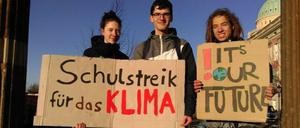 Das Original: Edwin P. (16, ganz rechts) von der Voltaire-Schule und zwei weitere Schüler wurden für Fake News missbraucht.