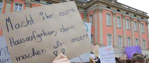 Am Klima-Streik am 15. März vor dem Landtag beteiligten sich mehr als 1000 Potsdamer Schüler.