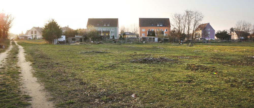 Die Realität. Noch ist die Fläche im Glindower Süden eine Wiese.
