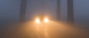 Ein Drittel aller Verkehrsunfälle im Land sind Baum-Unfälle.