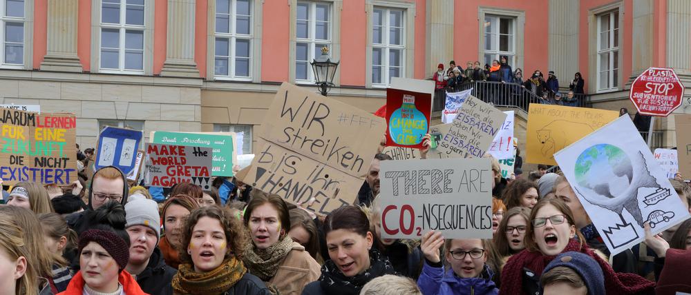 Die letzte Klima-Demo von Potsdamer Schülern fand am 15. März - einem Freitag - vor dem Landtag statt.