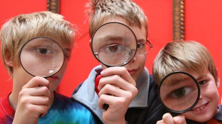 Die Betreuung eines Schülers kostet das Potsdamer Extavium 20 Euro. Das wird durch den Eintritt allein nicht gedeckt.