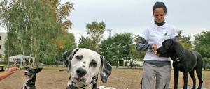 Hundeschulen-Leiterin Juliane Lange (rechts).
