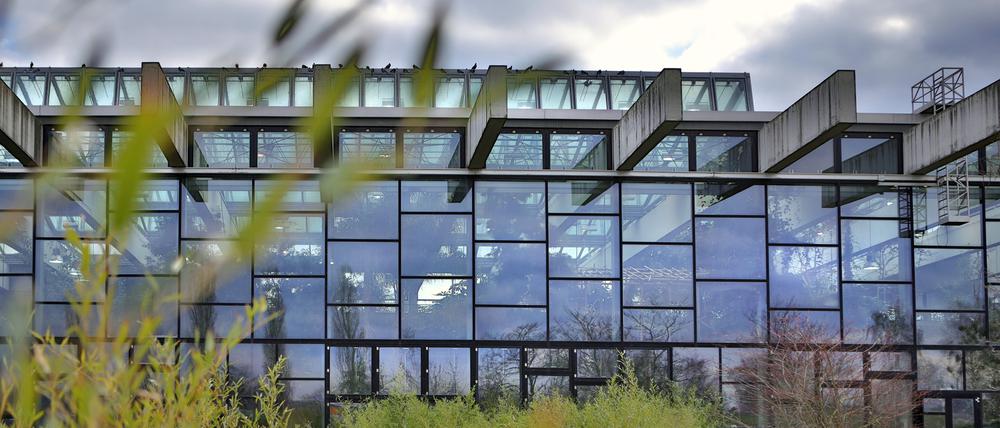 Die Stadtverordneten wollen die Tropenhalle in Potsdams Norden erhalten.