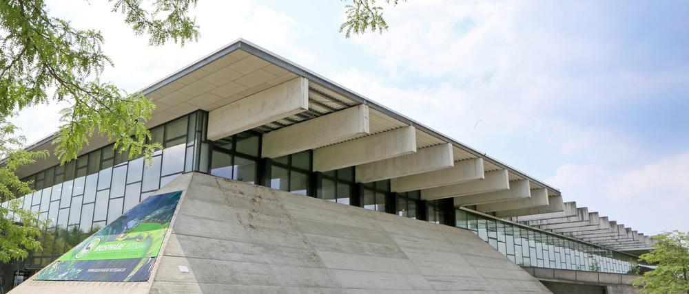Die Biosphäre in Potsdam soll erhalten bleiben.