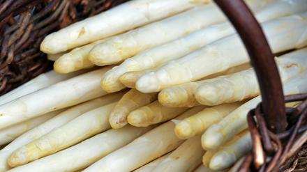Beelitzer Spargel.