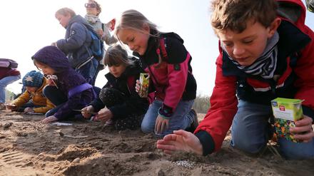 Naturschutzprojekt. Kinder der Inselschule betreuen die Blühfläche.