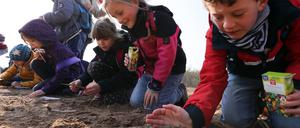 Naturschutzprojekt. Kinder der Inselschule betreuen die Blühfläche.