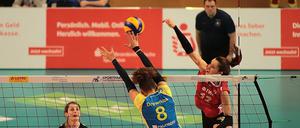 Es soll noch nicht Schluss sein. Mit einem Auswärtssieg am Donnerstag möchte der SCP um Eva Hodanova (r.) ein viertes Spiel erzwingen. 