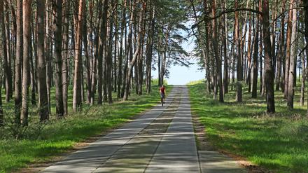 Die Wählergruppe „Bündnis für Michendorf“ setzt sich für ein Verkehrskonzept für Radwege ein.