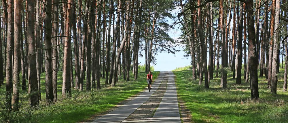 Die Wählergruppe „Bündnis für Michendorf“ setzt sich für ein Verkehrskonzept für Radwege ein.