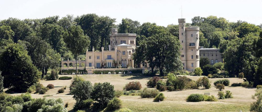 Die Wiese des Parks Babelsberg war im Juli 2018 nicht mehr saftig grün.