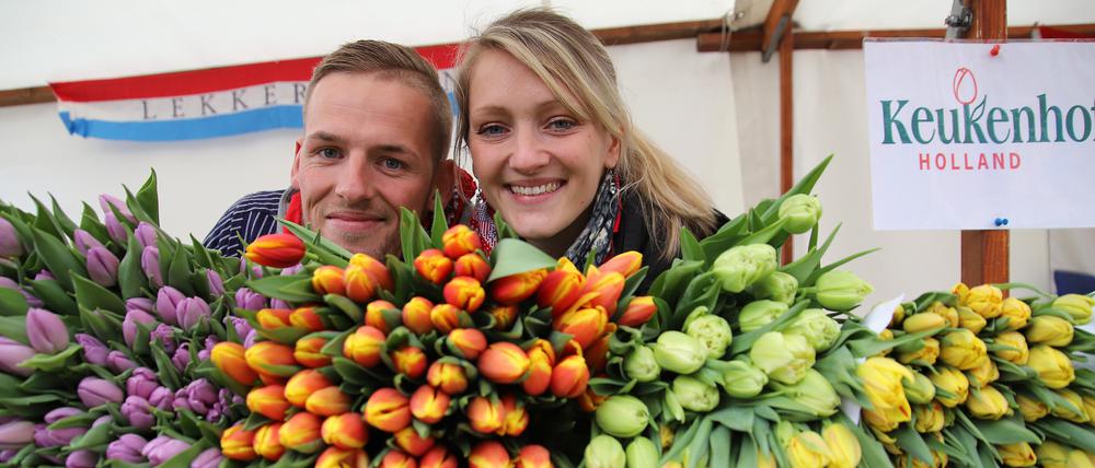Niederländische und Potsdamer Gewerbetreibende waren beim diesjährigen Tulpenfest im Holländischen Viertel vor Ort.