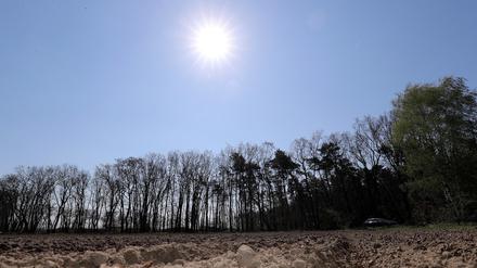 In den vergangenen Tagen war es sehr sonnig und trocken. Bauern hoffen auf Regen.