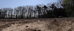 In den vergangenen Tagen war es sehr sonnig und trocken. Bauern hoffen auf Regen.