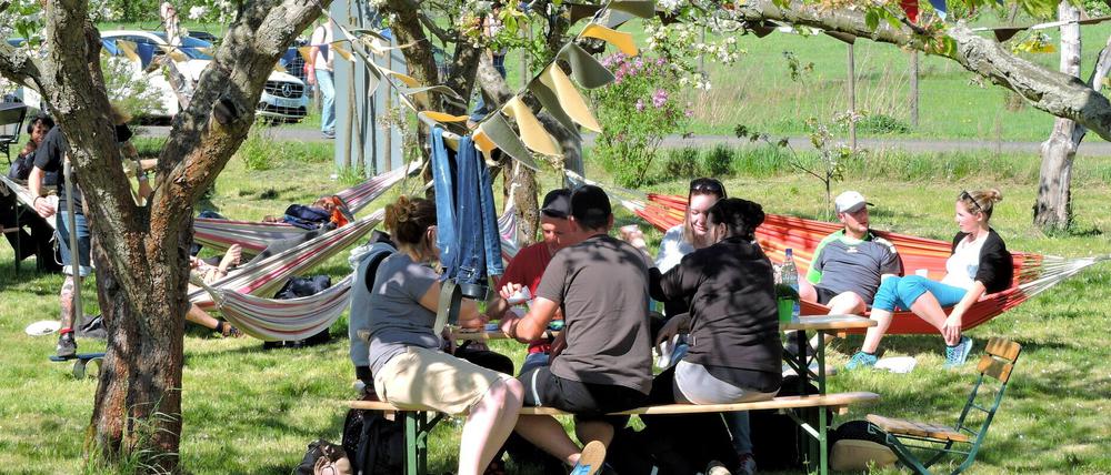 Der Verein Zuckerbaum feiert sein eigenes kleines Baumblütenfest am Obstpanoramaweg.