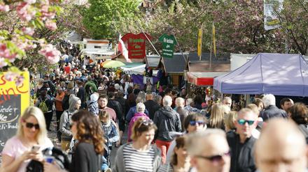Erster Tag beim Baumblütenfest 2019 in Werder (Havel)