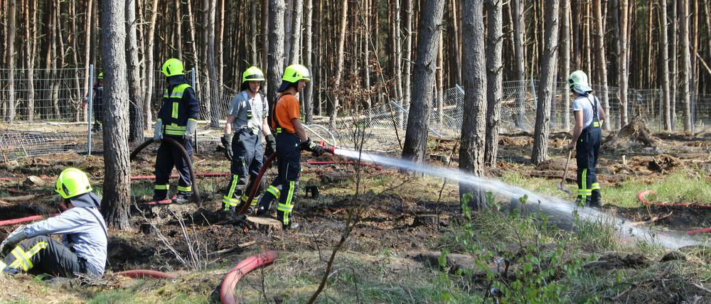 Feuerwehrleute bei einem Einsatz am Dienstag bei Dreetz nahe Neustadt/ Dosse im Landkreis Ostprignitz-Ruppin.