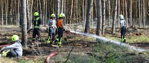 Feuerwehrleute bei einem Einsatz am Dienstag bei Dreetz nahe Neustadt/ Dosse im Landkreis Ostprignitz-Ruppin.
