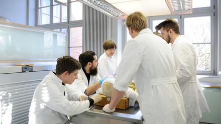 Die Brandenburger Landesregierung will Mediziner auch in Cottbus ausbilden lassen und damit nicht nur der Lausitz helfen.