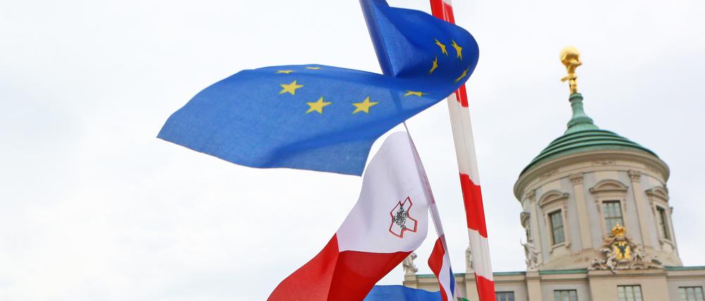 Das Europafest fand 2018 auf dem Alten Markt in Potsdam statt - wie auch in diesem Jahr geplant.