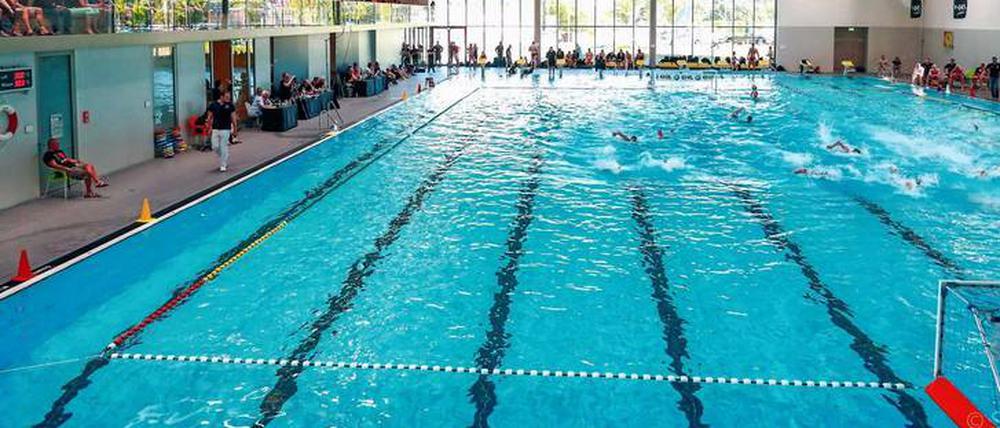 Premiere. Im blu kommt es erstmalig zu Wasserball-Länderspielen.