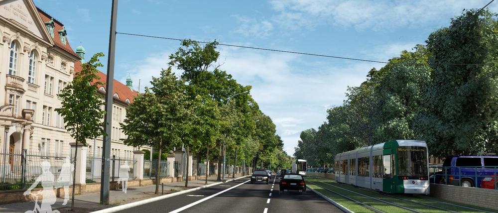 Diese Visualisierung zeigte die ursprünglichen Pläne für die Tramtrasse auf der Heinrich-Mann-Allee in Potsdam.