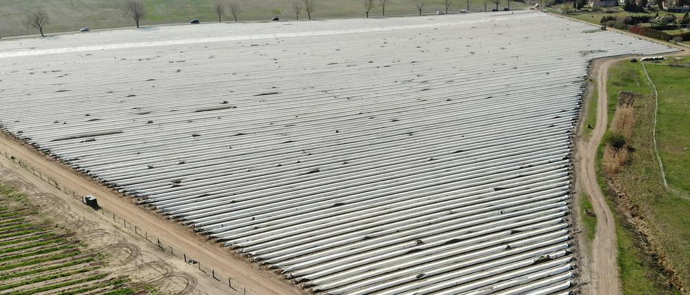 Besonders auf Spargelfeldern, wie hier bei Beelitz, wird oft Folie eingesetzt.