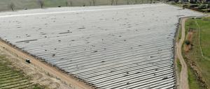 Besonders auf Spargelfeldern, wie hier bei Beelitz, wird oft Folie eingesetzt.