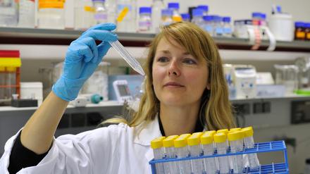 Die Forscher am Deutschen Institut für Ernährungsforschung untersuchen die Zusammenhänge zwischen Ernährung und Gesundheit von den molekularen Grundlagen bis zur klinischen Anwendung.