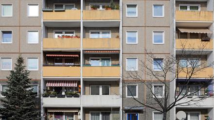 In den Plattenbauvierteln wie am Schlaatz lag die Wahlbeteiligung deutlich unter dem Durchschnitt.