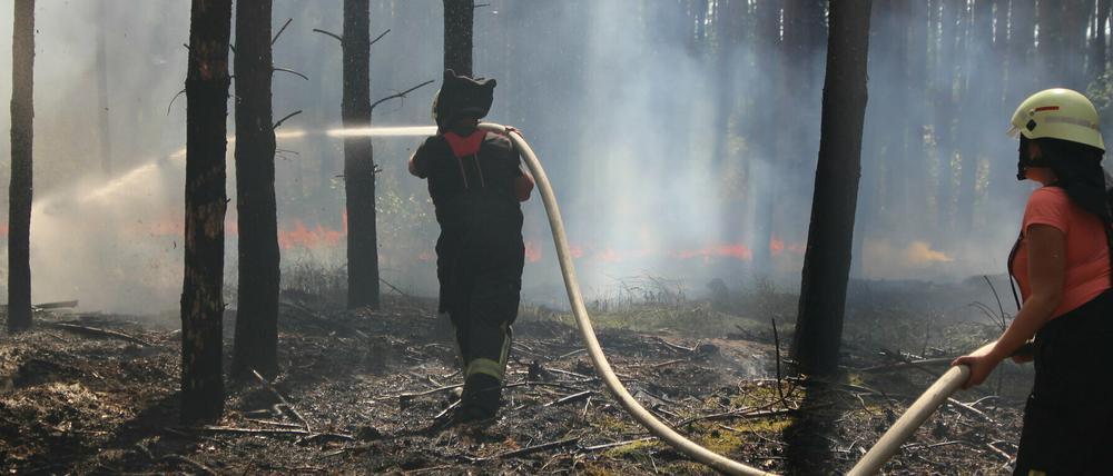 In Brandenburg brennen derzeit wieder Wälder, wie hier bei Wolfslake.