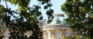 800 Bäume im Park Sanssouci sind von der Trockenheit betroffen.
