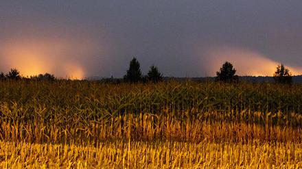 Im vergangenen Jahr wüteten einige Waldbrände in Brandenburg. Und auch in diesen Tagen gibt es vielerorts bereits Brände.