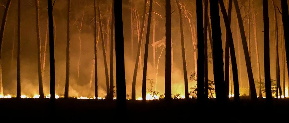 Der Waldbrand bei Jüterbog.