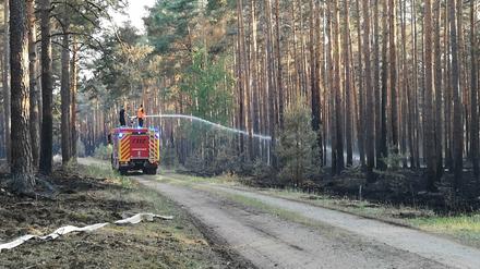 Feuerwehrleute stehen auf einem Einsatzfahrzeug der Feuerwehr und spritzen Wasser auf Glutnester im Wald bei Jüterbog. 