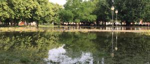 Der Bassinplatz in Potsdam war am Donnerstag teilweise überschwemmt.