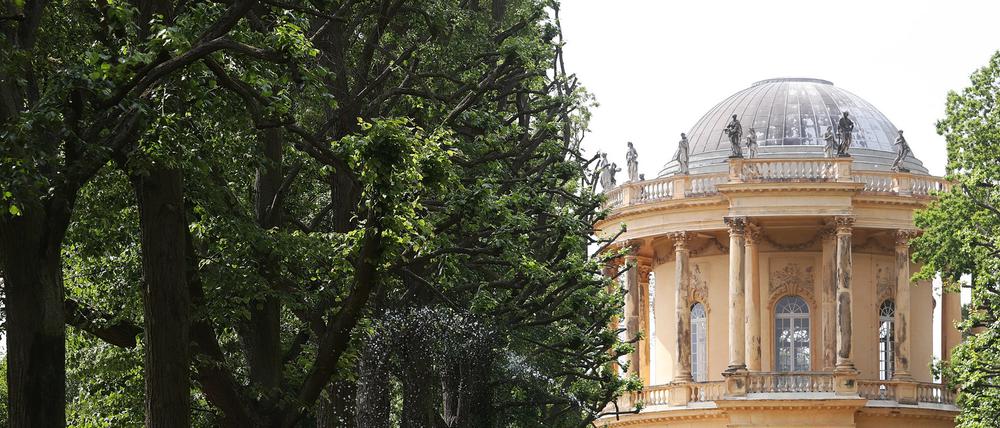 Das Belvedere auf dem Klausberg ist derzeit noch öffentlich zugänglich. Doch der Bereich dahinter in Richtung Amundsenstraße darf auf unbestimmte Zeit nicht mehr von Besuchern betreten werden.