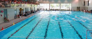 Hoffen auf volle Ränge. Das blu-Bad lockt drei Tage lang mit hochklassigem Wasserball.