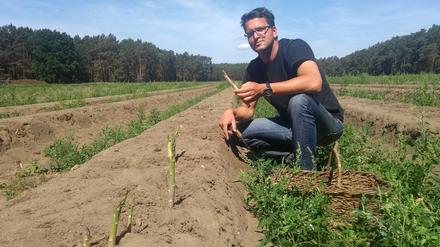 Thomas Syring setzt als erster Spargelbauer in Beelitz auf den Anbau von grünem und weißem Biospargel.